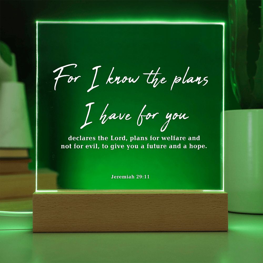 God's Plan - Bible Verse Acrylic Plaque: Jeremiah 29:11