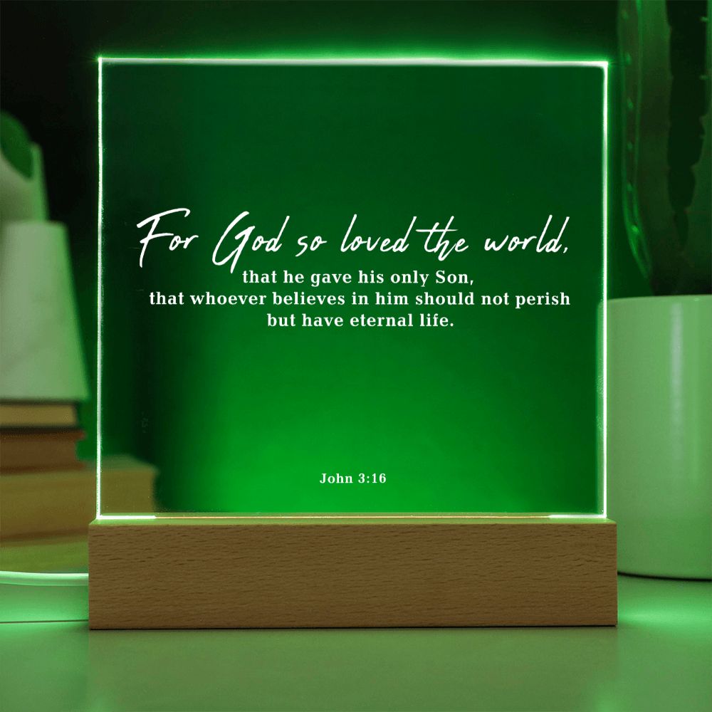 Bible Verse Acrylic Plaque: John 3:16